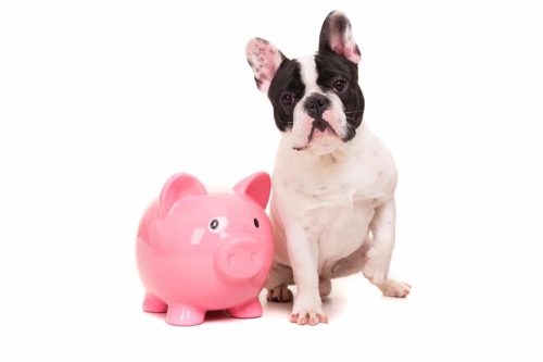 50% Deposit One-On-One Dog Training